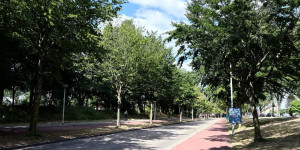 Bergen op Zoom: Το "σπίτι" του Αστέρα AKTOR στην προετοιμασία του στην Ολλανδία