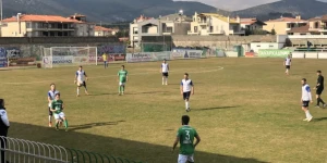 Η άνοδος και η πτώση του Παναρκαδικού μέσα στο 2024